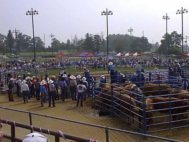 View of Korean-American Cowboy Association rodeo