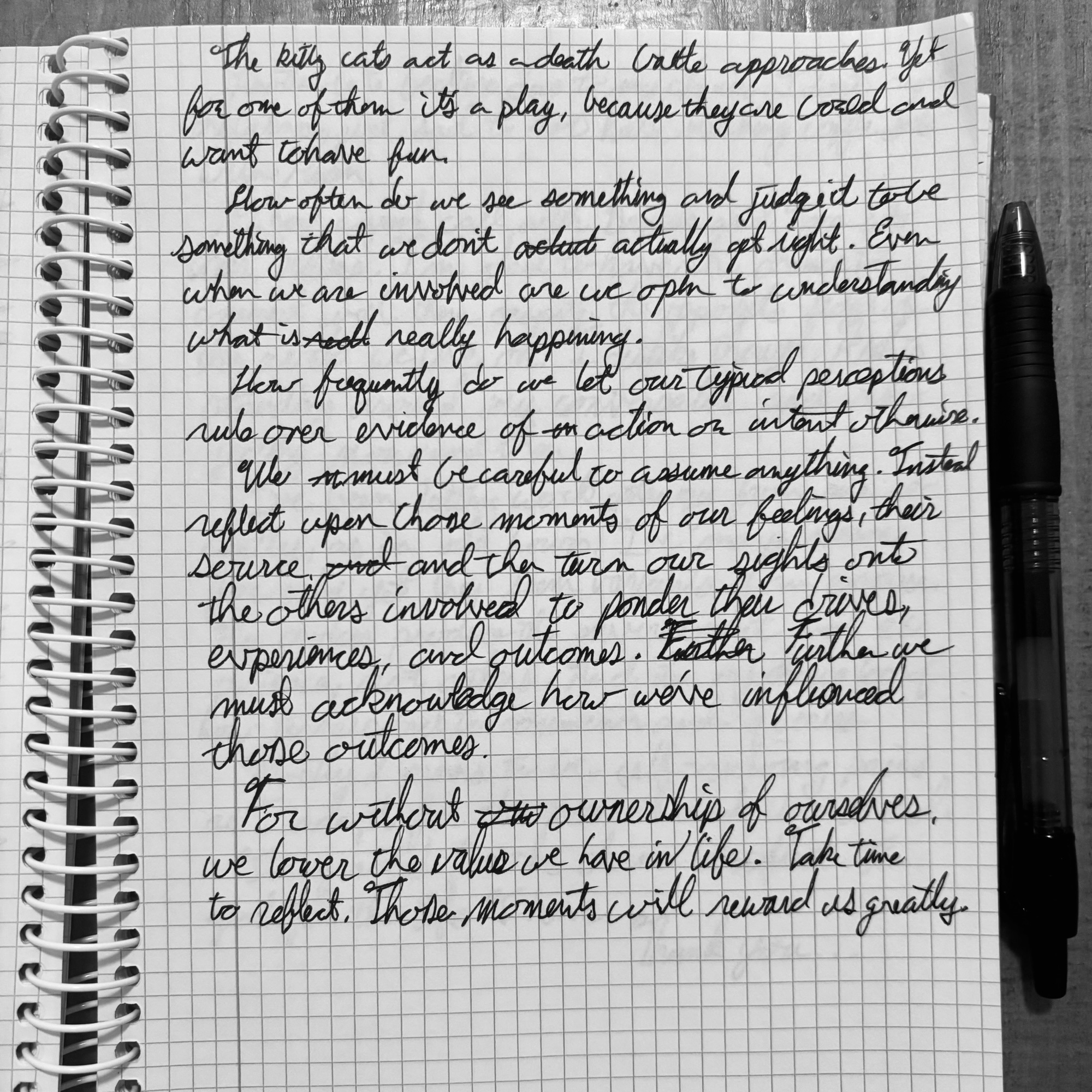 Seeing Beyond the Fight: Assumptions, Perception, and Ownership 🐱💭